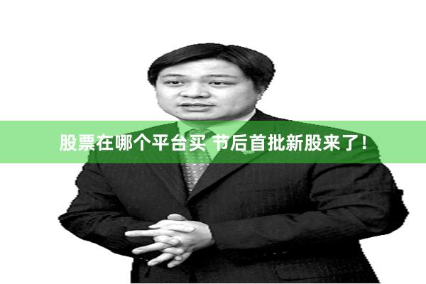 股票在哪个平台买 节后首批新股来了！