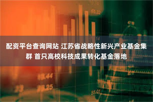 配资平台查询网站 江苏省战略性新兴产业基金集群 首只高校科技成果转化基金落地