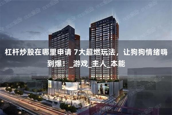杠杆炒股在哪里申请 7大超燃玩法，让狗狗情绪嗨到爆！_游戏_主人_本能