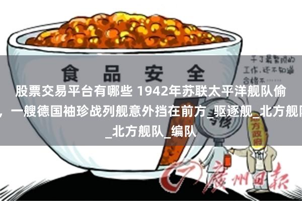 股票交易平台有哪些 1942年苏联太平洋舰队偷越北极，一艘德国袖珍战列舰意外挡在前方_驱逐舰_北方舰队_编队